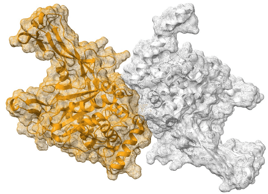 French start-ups Pasqal and Qubit Pharmaceuticals join with Unitary Fund to win Wellcome Trust's "Quantum for Bio" program